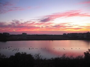 Sunset Overlooking the Pond