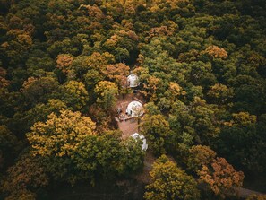 OakHaven 0268