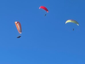 Divers