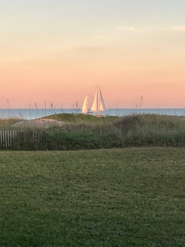 View from the back patio