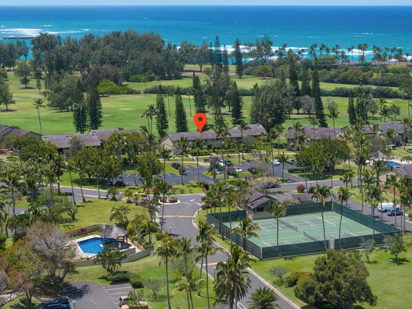 Aloha Turtle Bay!