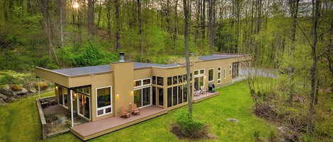 Welcome to Woodland Zen!
