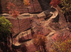 Our private trail system winds from the house down the mountainside to the White River and up Dick’s Creeks to a stunning bluffline, showcasing the remote natural beauty of the property.
