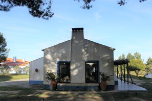 Exteriör
