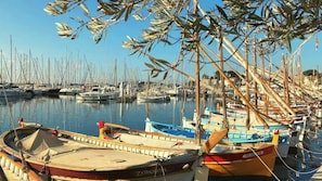 Marina