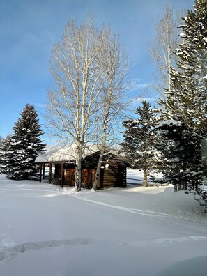 Front yard facing the barn with Teton views