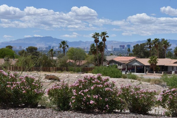 View of Las Vegas