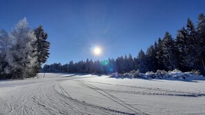 Snow and ski sports
