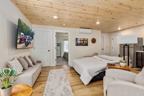 Living Room with Pull out bed