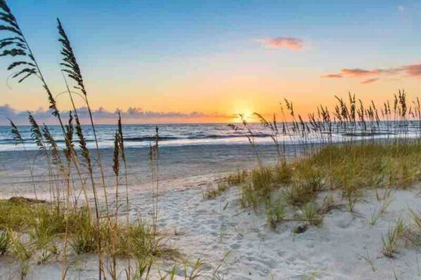 Beach
