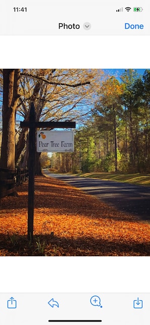 Pear Tree Farm in the fall. Quiet and peacefulness await you.