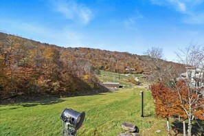 Slope behind house (view from deck)