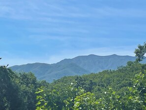 Bears Repeating Mountain Summer View