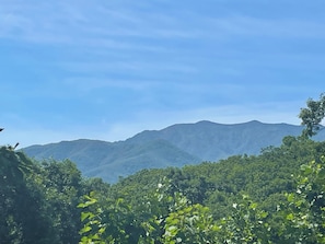 Bears Repeating Mountain Summer View