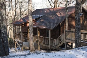The Cozy Cardinal 