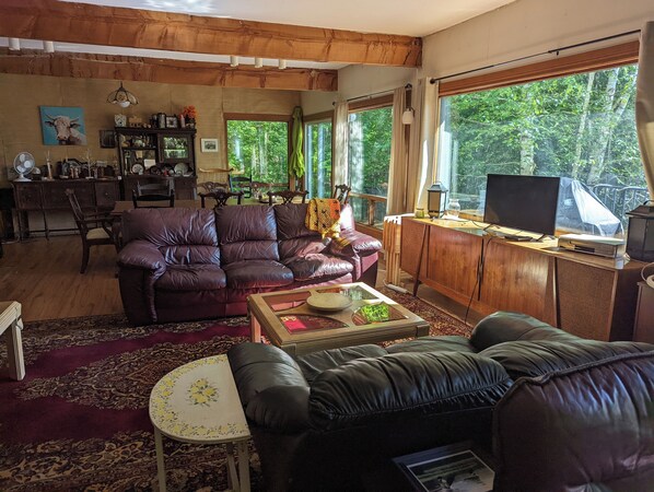 Living Room leather sofas
