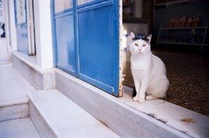 Naxos City Center Room | Double Room| Private Balcony | Close to the Beach | City Views | Saint George