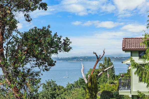 View from property