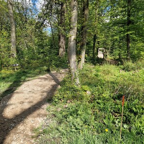 Boendeområde