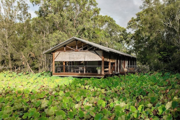 The villa is perched over the lotus pond. The lotus are in full bloom Nov through to April