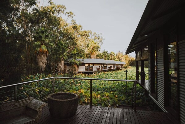 The boathouses perch effortlessly over the tranquil waters of the lotus pond