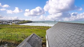 Beach/ocean view