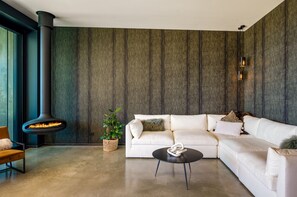 Entertainment area