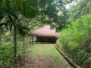 Rum