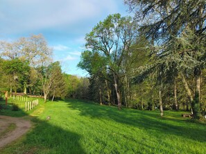 Boendeområde