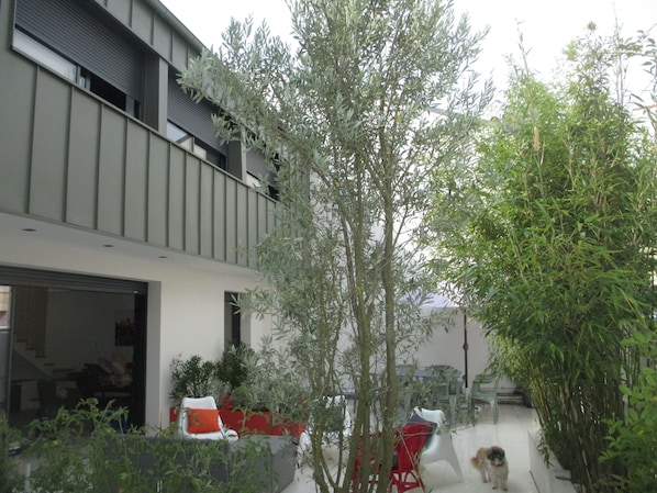 Terrass/Patio