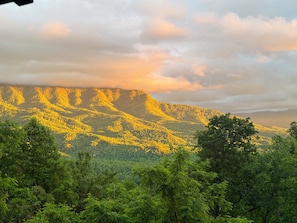 View from the back porch
