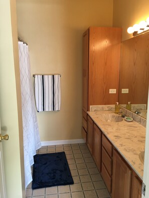 master bedroom-bathroom