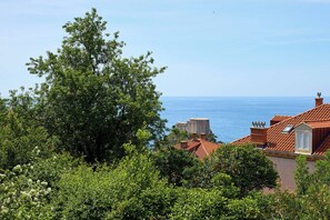 View of fort Lovrijenac