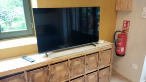 Television