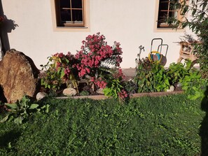 Pflanze, Fenster, Blume, Natur, Gebäude, Grundstueck, Gras, Haus, Landschaft