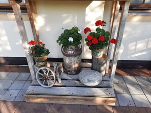 Blume, Pflanze, Eigentum, Blumentopf, Gebäude, Tabelle, Zimmerpflanze, Fenster, Vase, Holz