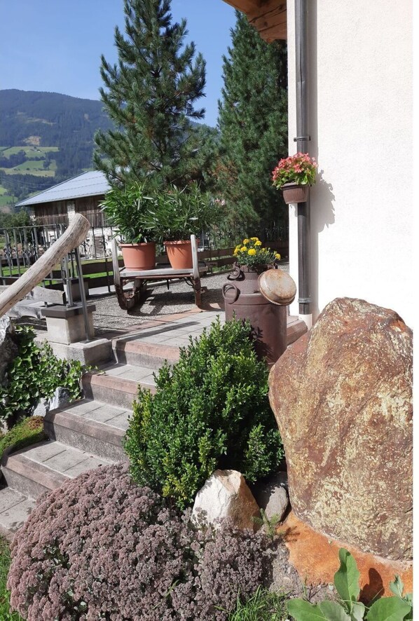 Plante, Propriété, Pot De Fleur, Ciel, Bâtiment, Plante D'Appartement, Biome, Mur, Arbre, Paysage