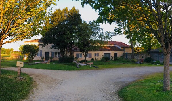 Exteriör