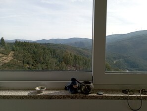 Interiör