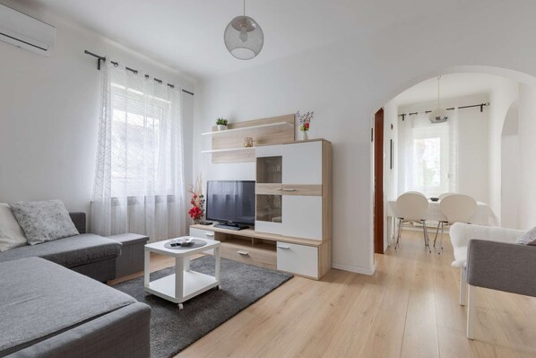 Living room with sofa bed and TV