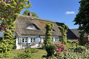 Stugans exteriör [sommar]