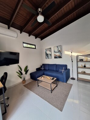 Livingroom with Fullsize Sofa bed