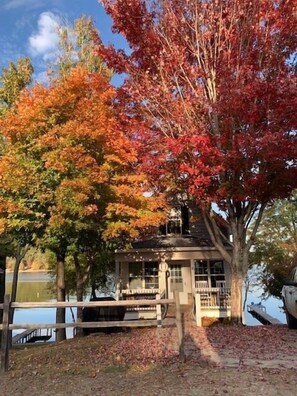 Beautiful Fall