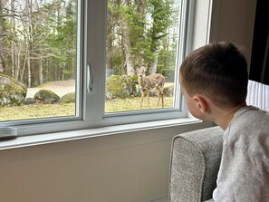 Interiör