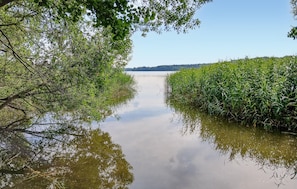 area
