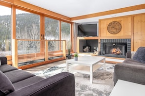 Living Room - Fireplace