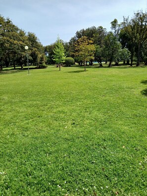 Property grounds
