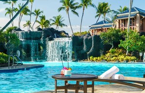 Hilton Waikoloa Pool Pass