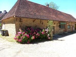 Exteriör