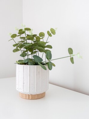 Innendetails